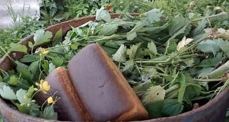 Nettle tinapay para sa mga kamatis