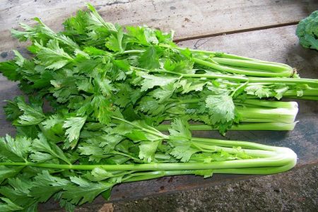 Celery