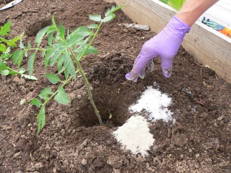 Root top dressing na may soda