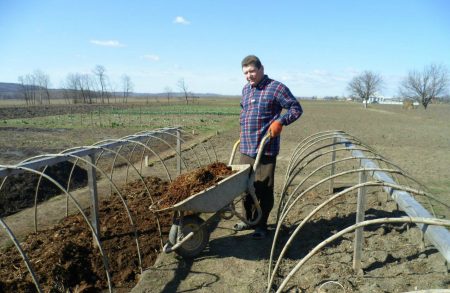 Manure Pillow