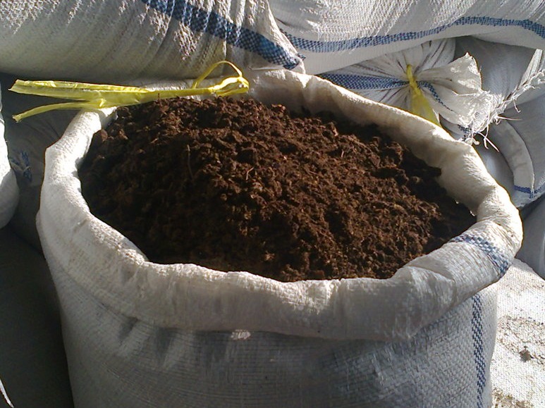 C Mo Alimentar A Los Pepinos Despu S De Plantarlos En Un Invernadero