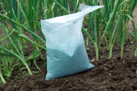 mineral fertilizers para sa mga sibuyas