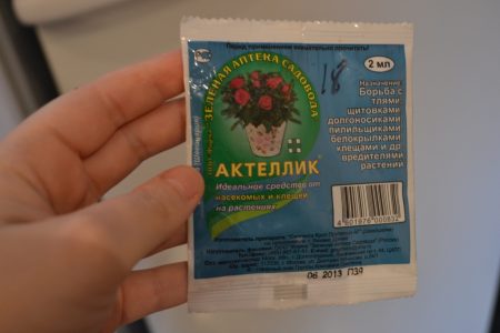 aktellik