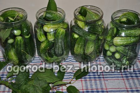 Mga Jars ng Mga pipino