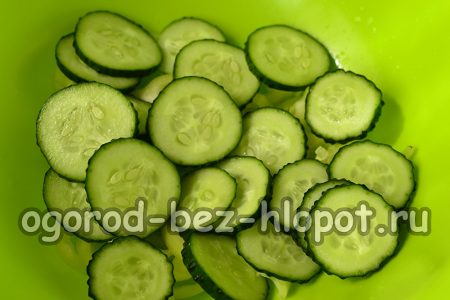 Mga pipino sa bilog