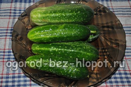 agurker for pickling