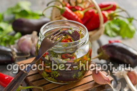 klaar aubergine met koriander