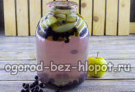 gestoofde appels en aronia