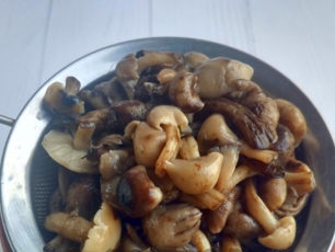 zeef de champignons