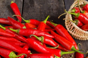 chilipepper