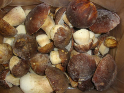 Bevroren Champignons