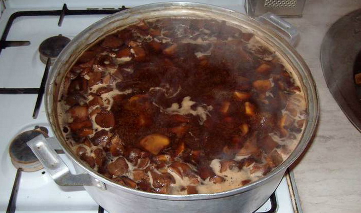 Paddenstoelen koken