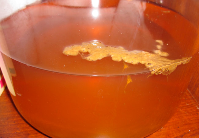 Nascent Kombucha