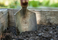 Moet ik voor de winter de tuin ploegen