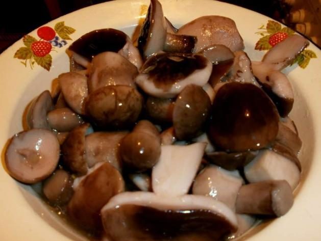 Mga adobo na Boletus