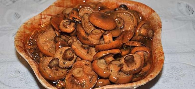 Champignons zonder te koken