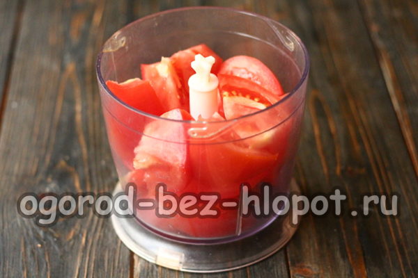 doe tomaten in een blender