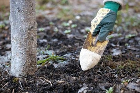 Herfstmeststoffen voor fruitbomen