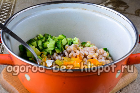 maglagay ng mga pipino, barley at toasted na gulay sa isang kawali