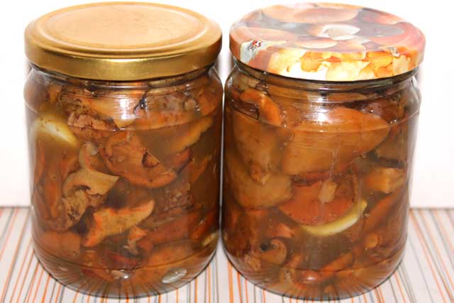 Pag-aani ng mga mushroom saffron