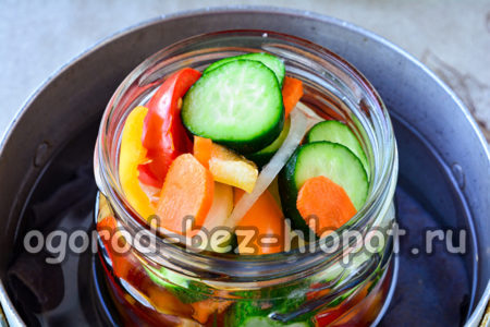 doe de salade in potten