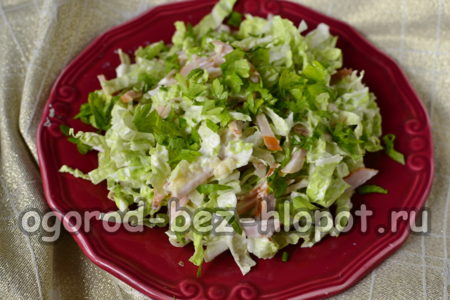 dagelijkse salade