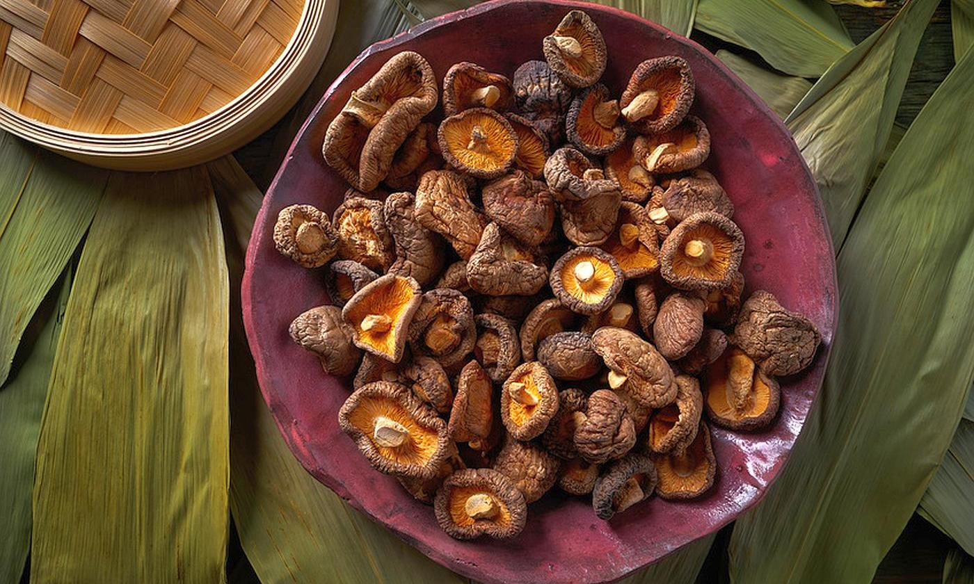 Tuyong Shiitake Mushrooms