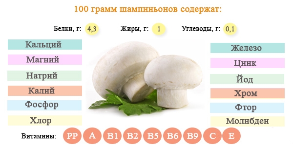 Den kjemiske sammensetningen av champignons