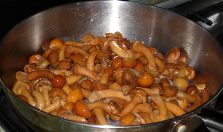 Gebakken Champignons