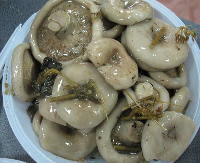 Mga adobo na Mushrooms