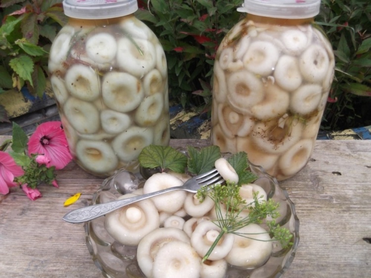 Champignons in de marinade