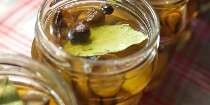 Champignons in de marinade