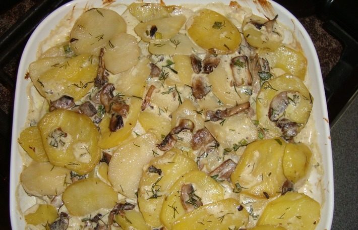 Aardappelen met champignons in zure room