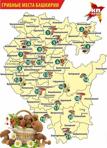 Mapa ng mga lugar ng kabute sa Bashkiria