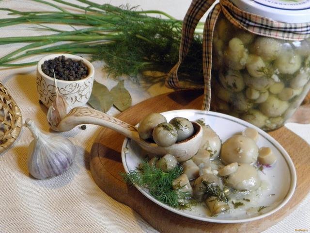 Champignons met knoflook