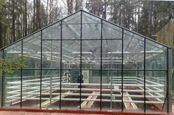 Glass greenhouse