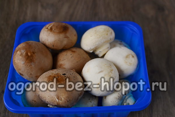 mga champignon