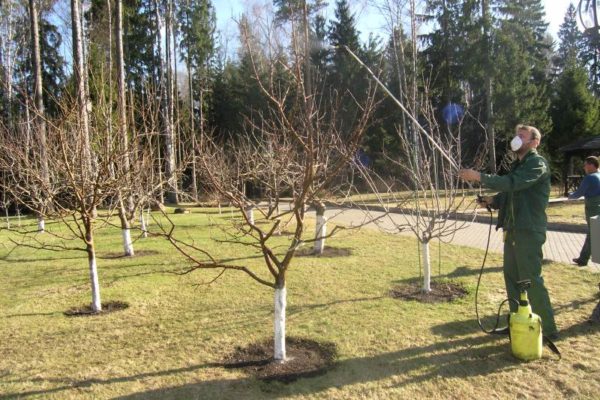 tuinwerk in de herfst