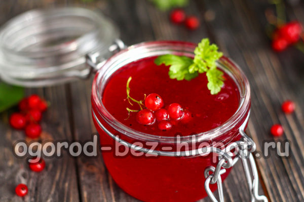 redcurrant jelly