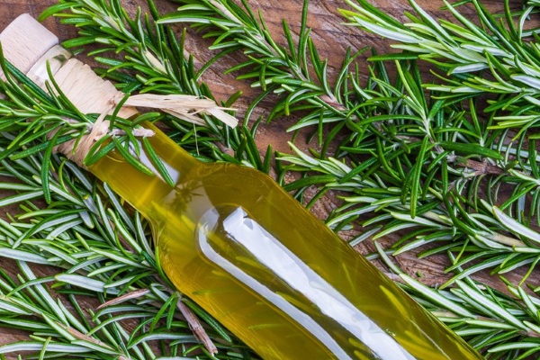 Rosemary oil