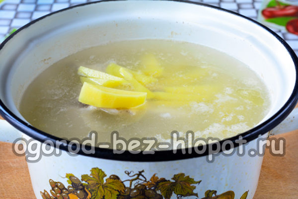 kook aardappelen in de bouillon