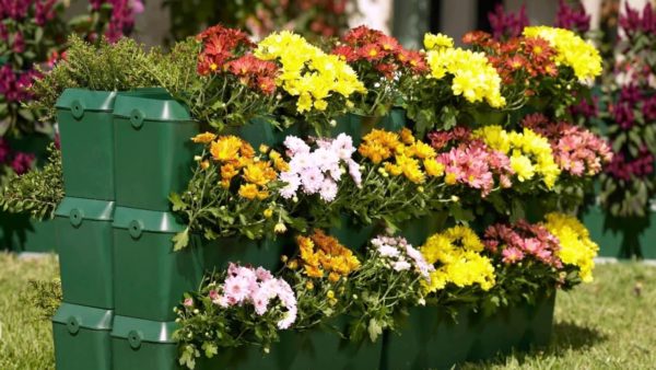 mga bulaklak na kama sa bansa