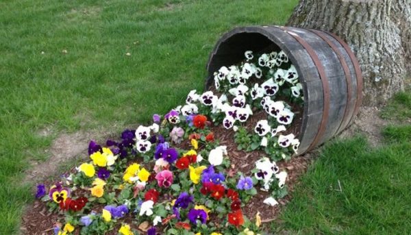 blomsterbed i landet med egne hender