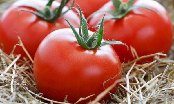 Variasjoner av tomatgiganter for Sentral-Russland