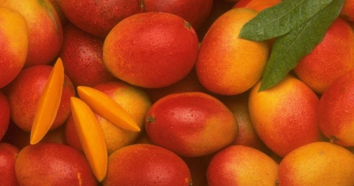 Mango