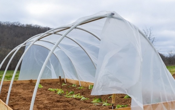 DIY greenhouse