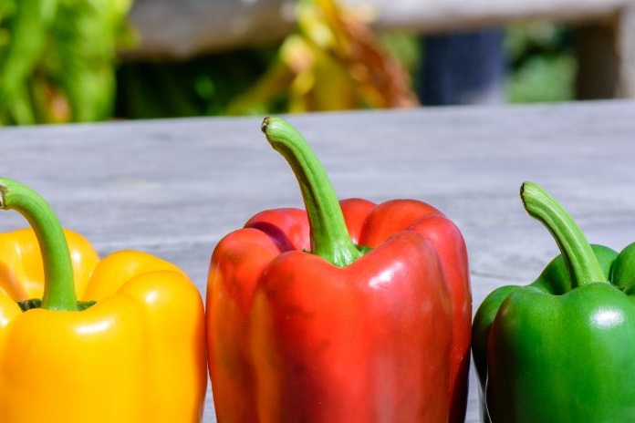 varianter av søt paprika