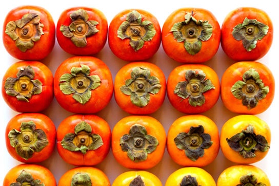 persimmon