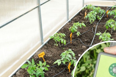 mga sistema ng patubig ng greenhouse