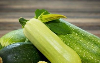 wanneer courgette te planten